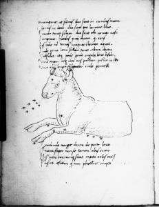 Basinio da Parma (Basinius Parmensis) p.17v - 15th century (second half)