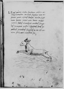 Hyginus p.28r - 15th century