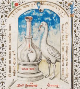Stiftsbibliothek - Cod. 206(49), fol. 57 - 1450 (circa)
