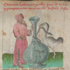 Bayerische Staatsbibliothek - Cgm 5249(44 b, fol. 2r - 15th century (first half)