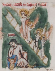 Stiftsbibliothek - Cod. 101, fol. 35v - 14th century (late)