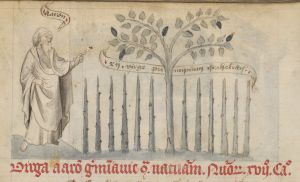 Kongelige Bibliotek - GKS 79 folio, fol. 29v - 1440 (circa)