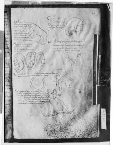 Bibliothèque nationale de France - lat. 8663, fol. 20r - 11th century (early)