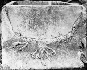 Ancient Roman - 1st century