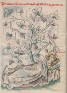 Bibliothèque nationale de France - lat. 512, fol. 9v - 15th century (early)