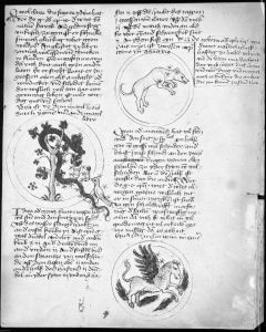 Scot, Michael p.19r - 15th century (third quarter)