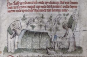 Staatsbibliothek - germ. fol. 1343, fol. 34r - 1400 (circa)