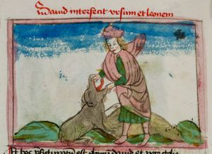Konsistorialbibliothek (kept in the Stadtarchiv) - WD 107, fol. 30v - 15th century (middle)