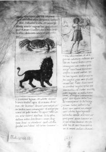 Palmieri, Matteo p.43v - 15th century (second half)