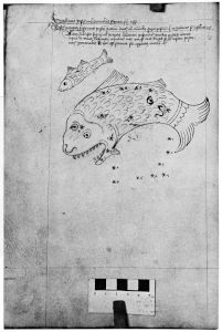 al-Sufi p.19v - 15th century