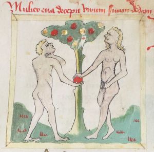 Universitätsbibliothek - Cod. Haen. 3506, fol. 10v - 1436