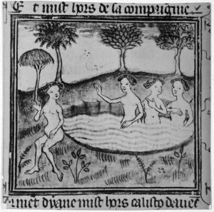Bibliotheque municipale - 742, fol. 30r - 1385 (circa)