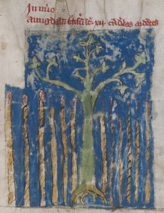 Stiftsbibliothek - Cod. 101, fol. 11r - 14th century (late)
