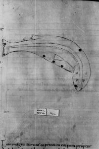 Cicero p.40v - 994 (circa)