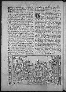 Ovid (Publius Ovidius Naso) p.11v - 1517