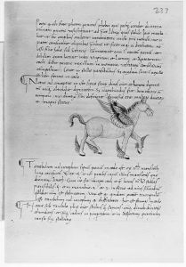 Scot, Michael p.233r - 1470 (circa)