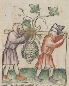 Universitätsbibliothek - Pal. germ. 432, fol. 29v - 1420 (circa)