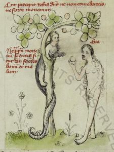 Biblioteca Apostolica Vaticana - Pal. lat. 413, fol. 5r - 15th century (early)