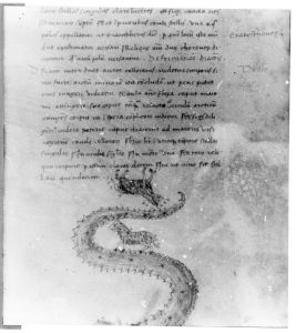 Hyginus p.34r - 15th century