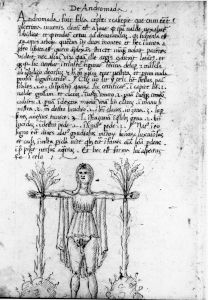 Scot, Michael p.30 - 15th century