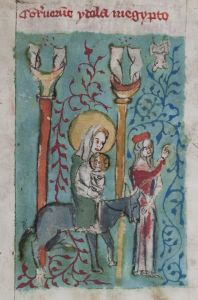 Stiftsbibliothek - Cod. 101, fol. 13v - 14th century (late)