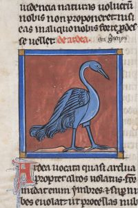Sidney Sussex College - 100, fol. 20v - 1230 (circa)