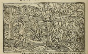 Ovid (Publius Ovidius Naso) p.56v - 1532