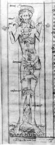 Peter of Dacia - 14th century