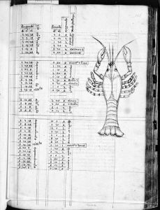 Gerard of Cremona p.165r - 14th century