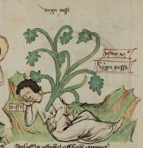 Stiftsbibliothek - Cod. 166, fol. 6v - 15th century (early)
