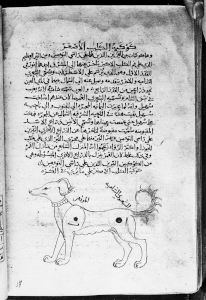 al-Sufi p.126v - 1130
