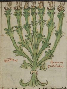 Stiftsbibliothek - Cod. 166, fol. 13r - 15th century (early)