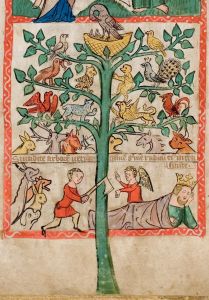 Universitäts- und Landesbibliothek - Hs 2505, fol. 44v - 1360 (circa)