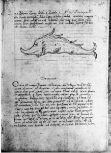Scot, Michael p.41 - 15th century