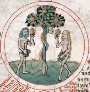 Bibliothèque municipale - 89, fol. 52r - 1470 (circa)