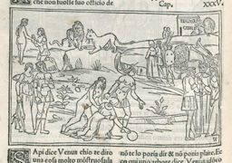 Ovid (Publius Ovidius Naso) p.89v - 1497