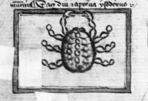 Ermengaud, Matfre p.25v - 15th century