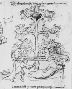 Magdalene College (Pepys Library) - 2359, fol. 24v - 15th century