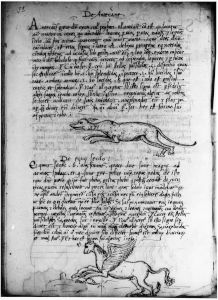 Scot, Michael p.52 - 15th century