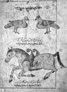 al-Qazwini p.60 - 15th century