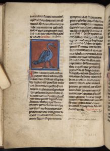 Sidney Sussex College - 100, fol. 20v - 1230 (circa)