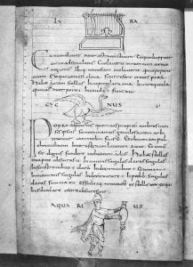 Sächsische Landesbibliothek - Dc 183, fol. 21v - 9th century (second half)