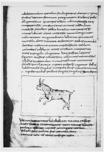Germanicus Caesar p.35v - 820