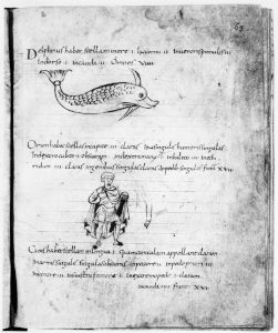 Biblioteca Apostolica Vaticana - Vat. lat. 645, fol. 63r - 845 (circa)
