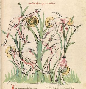 Universitätsbibliothek - Pal. germ. 144, fol. 397r - 1419