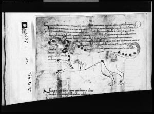 Cicero p.39v - 11th century (early)