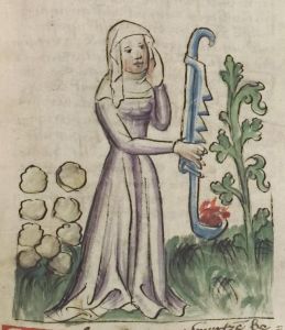 Universitätsbibliothek - Pal. germ. 432, fol. 44r - 1420 (circa)