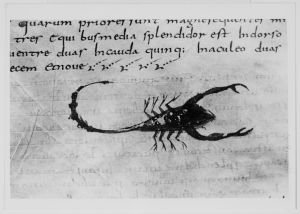 Dombibliothek - 83 II, fol. 157v - 798