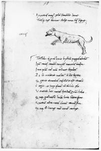 Basinio da Parma (Basinius Parmensis) p.44v - 15th century (second half)