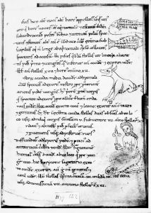 Hyginus p.12r - 12th century